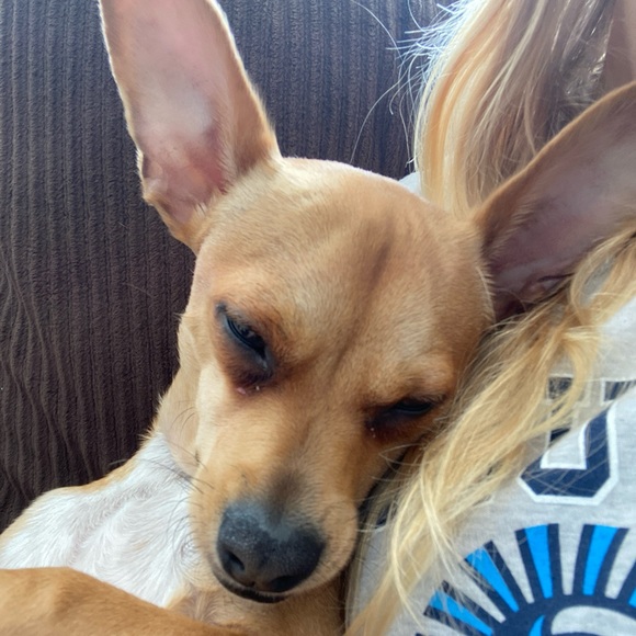 Meet your Posher, Милана - Picture 1 of 1